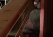 C-IH 781 Forage Harvester