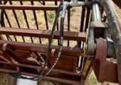HIQUAL SHQHYCFCHT-LH CALF TABLE