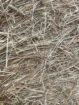 Small Square Timothy/Orchard Grass Hay