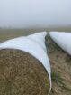 Small Square Timothy/Orchard Grass Hay