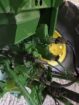 JD 4430 Tractor