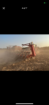 White 8531 16/31 Planter