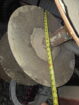 Krause 8200-28W Disk