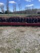 Yearlings and Calves