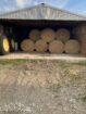 4×5 Net Wrapped Alfalfa and Mixed Hay