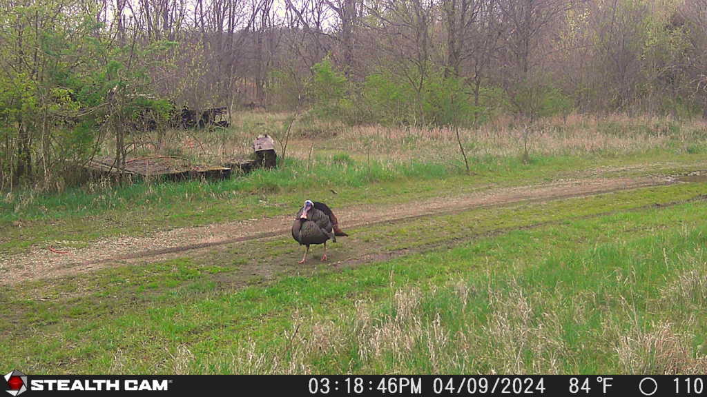 178 Acres with 30 Acre Lake